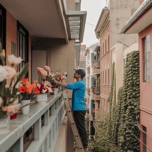 Entrega de flores en Santiago